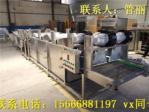 蔬菜加工機械全攻略 菠菜、腌黃瓜與野菜清洗設備的應用